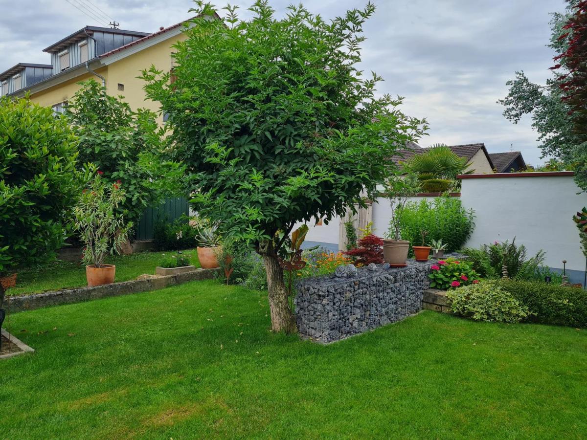 Appartamento Haus Schneider Kappel-Grafenhausen Esterno foto